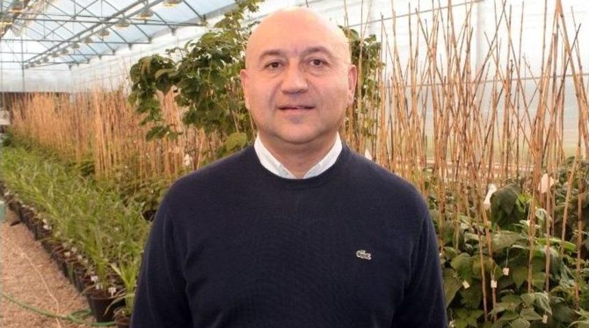 (&ouml;zel Haber) May Tohum Cirosunun Y&uuml;zde 7&rsquo;sini Ar-ge&rsquo;ye Ayırıyor