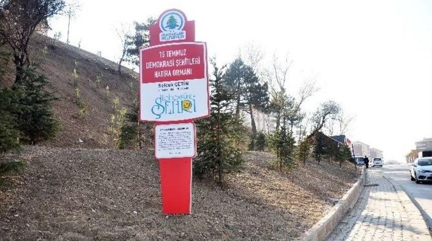 Pursaklar&rsquo;da 15 Temmuz Demokrasi Şehitleri Hatıra Ormanı Oluşturuldu