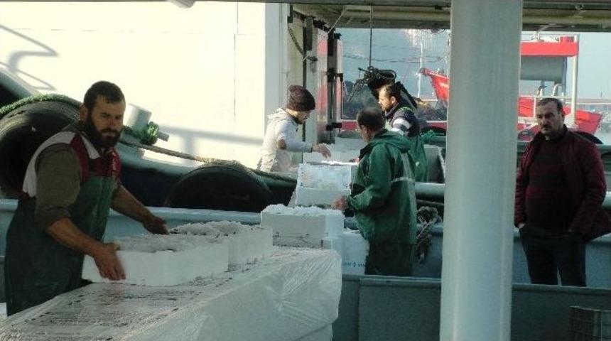 Baba Mesleği Balık&ccedil;ılık İ&ccedil;in 4 Yıl Okuduğu Mesleğini Bıraktı