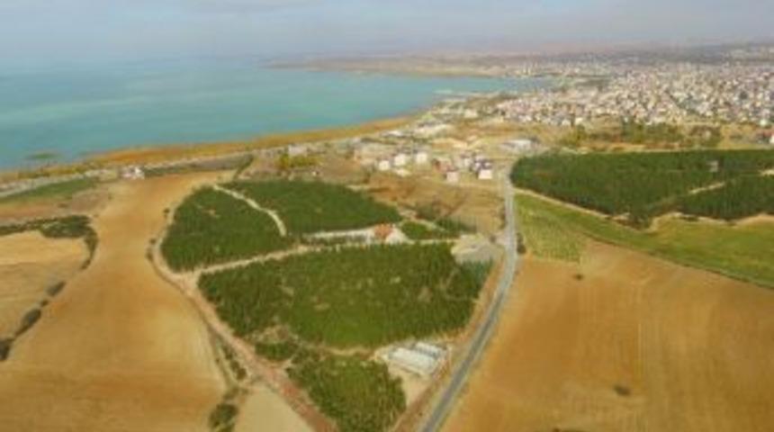 Şehit Astsubay Halisdemir&rsquo;in İsmi Beyşehir&rsquo;de Yaşatılacak