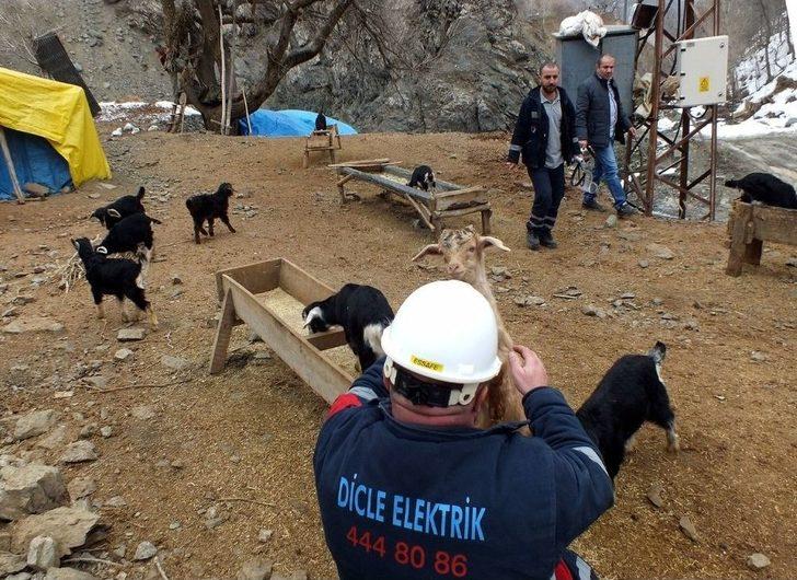 Her Şey Kesintisiz Elektrik İçin G4