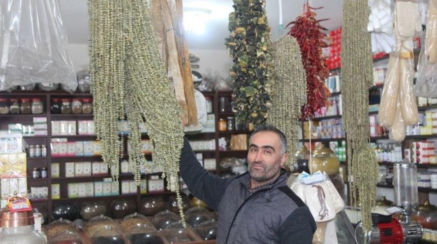 Bamyanın Kilosu Altın Değerinde