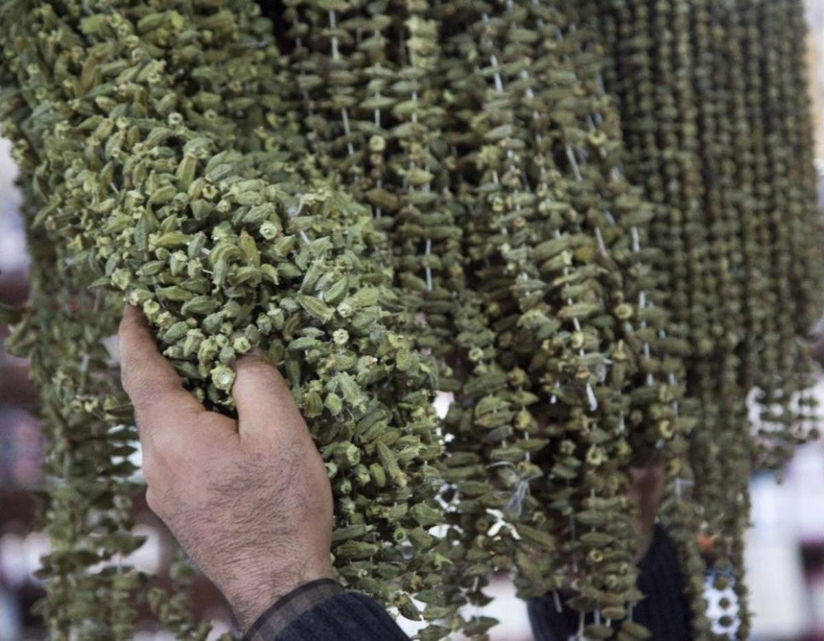 Bamyanın Fiyatı Kırmızı Eti 3&rsquo;e Katladı
