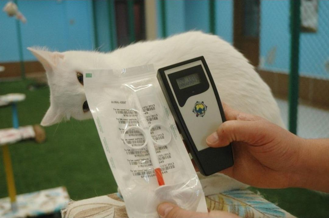 Van Kedilerine &Ccedil;ipli Takip Sistemi