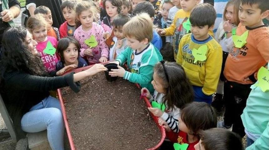 Minikler, Mezitli Belediyesi Fidanlığında &Ccedil;i&ccedil;ek Dikmeyi &Ouml;ğrendi