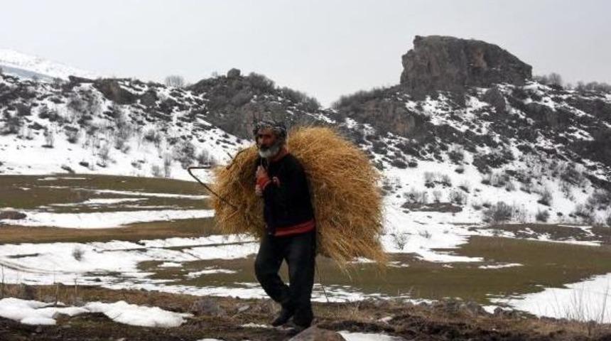 Boşaltılan K&ouml;y&uuml;ne D&uuml;nd&uuml;; Tek Başına Ve Huzurlu