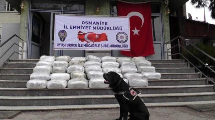 Hayvan G&uuml;bresinin Altından Esrar &Ccedil;ıktı