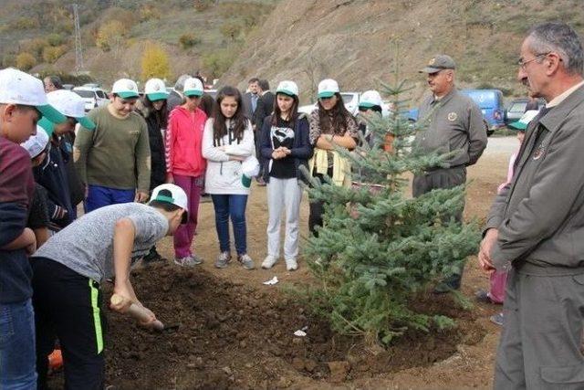 Yığılca’da Şehitler Ve Gaziler Hatıra Ormanı Tesis Edildi