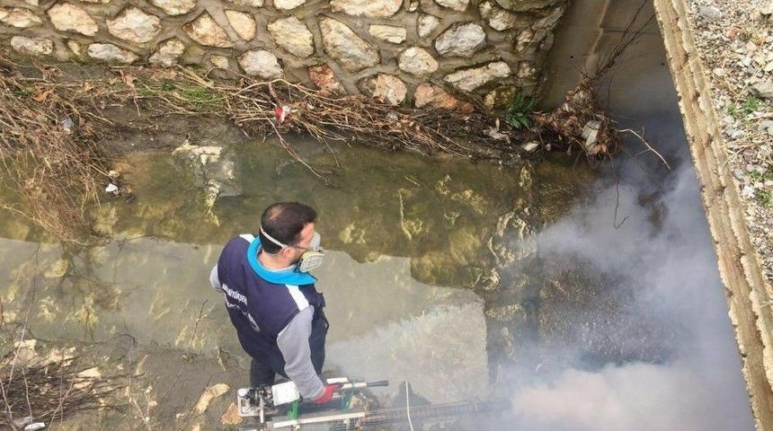 Sinekle M&uuml;cadele &Ccedil;alışmaları Hızlandı