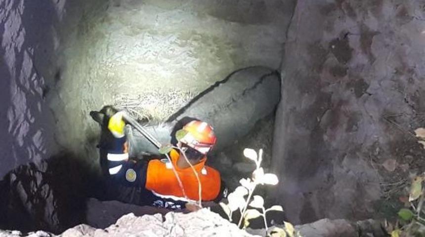 8 Metrelik Kuyuya Düşen Eşek Kurtarıldı