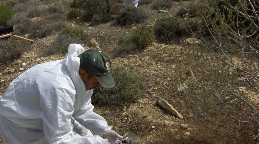 Mersin&rsquo;de Orman Zararlılarıyla M&uuml;cadele &Ccedil;alışmalarına Başlandı