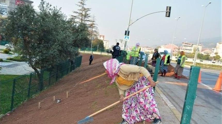 K&ouml;rfez&rsquo;de Peyzaj &Ccedil;alışmalarına Kadın Eli Değiyor