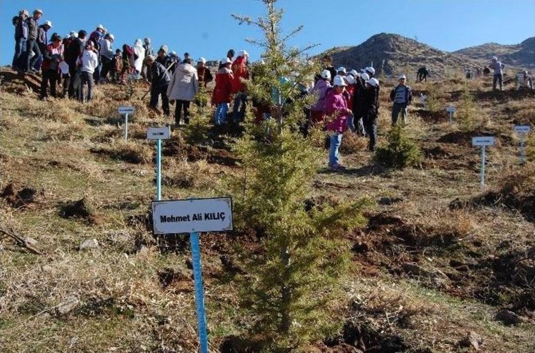 Bitlis&rsquo;te &lsquo;15 Temmuz Demokrasi Şehitleri Ormanı&rsquo; Oluşturuldu