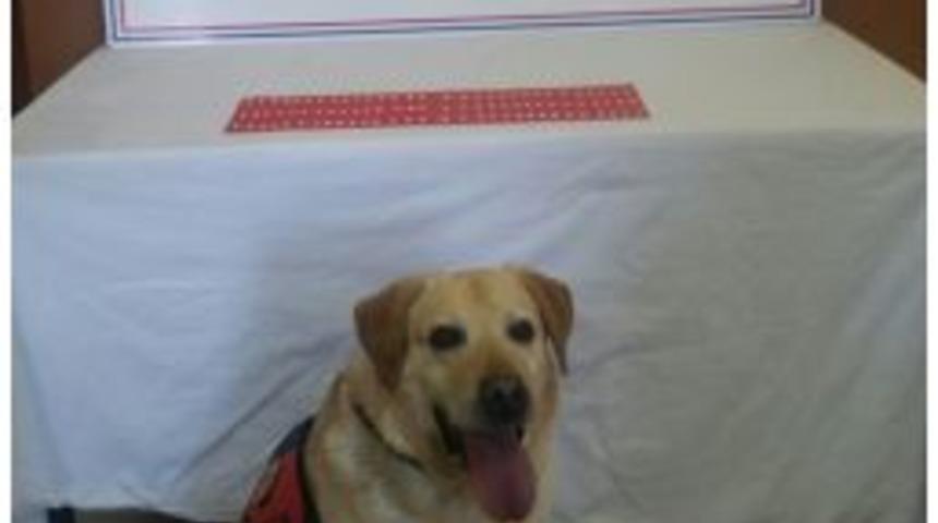 Jandarma 92 Adet Captagon İsimli Uyuşturucu Hap Ele Ge&ccedil;irdi