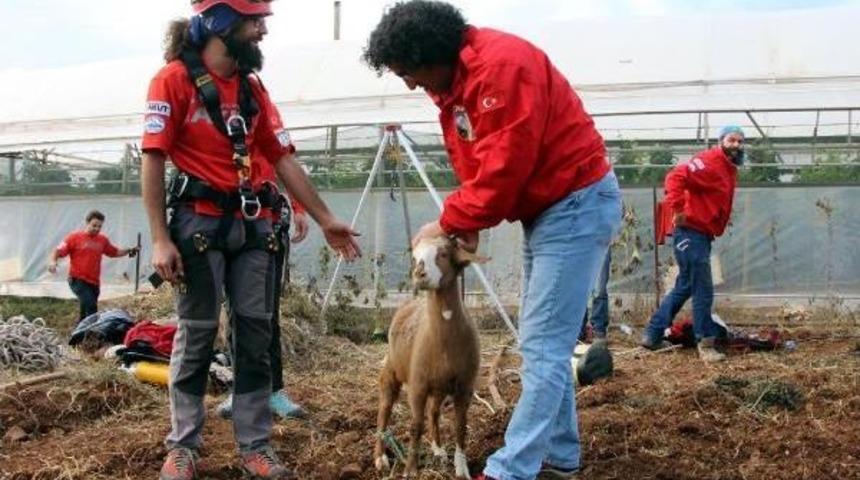 Kuyuya D&uuml;şen Oğlağı Akut Kurtardı