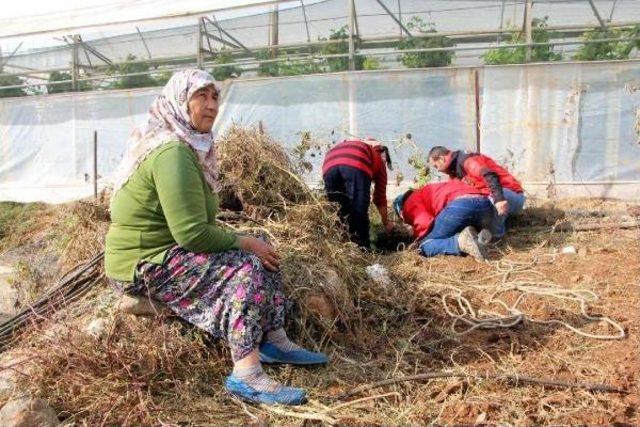 Kuyuya Düşen Oğlağı Akut Kurtardı