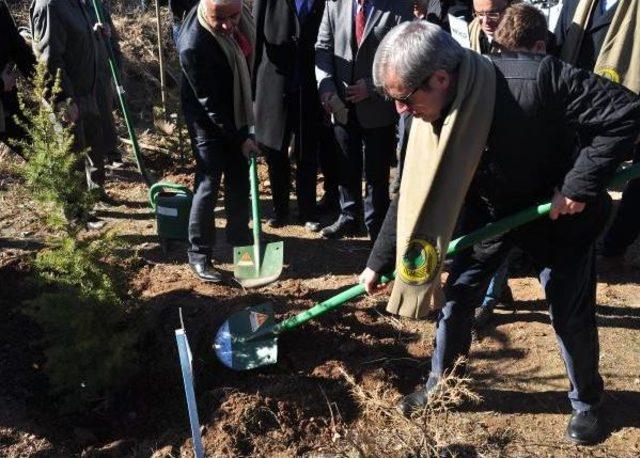 Bitlis’Te '15 Temmuz Şehitleri' Ormanı