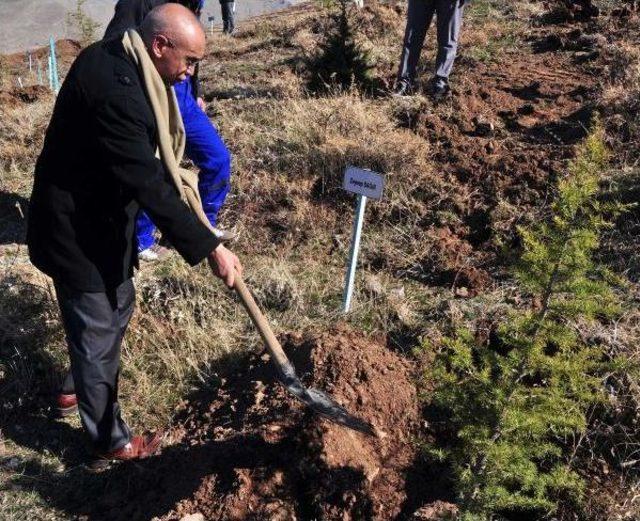 Bitlis’Te '15 Temmuz Şehitleri' Ormanı