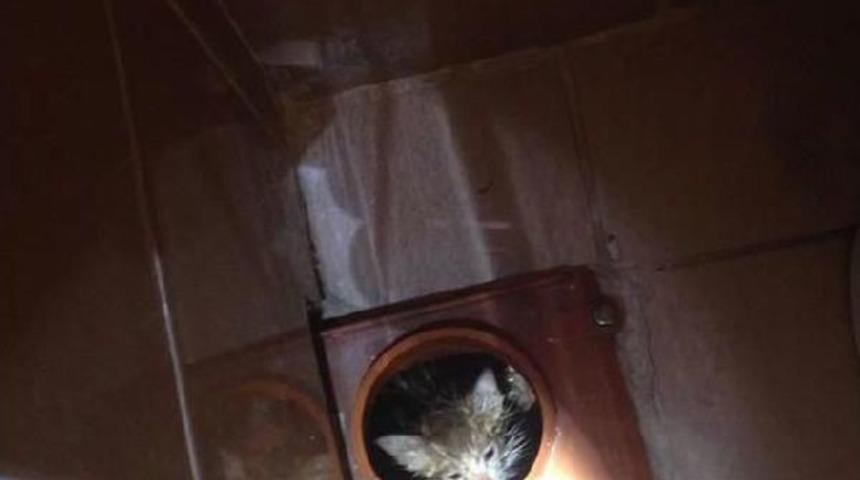 İtfaiyeden Kedi Kurtarma Operasyonu