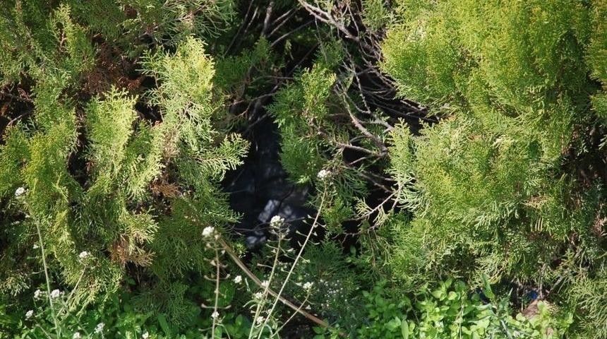 Tire Devlet Hastanesinde Bomba Hareketliliği