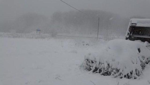 Kırklareli'de Kar Yağışı Başladı (2)