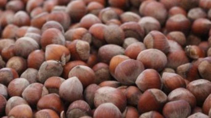 9 G&uuml;n Sonra 25 Kuruş Arttı