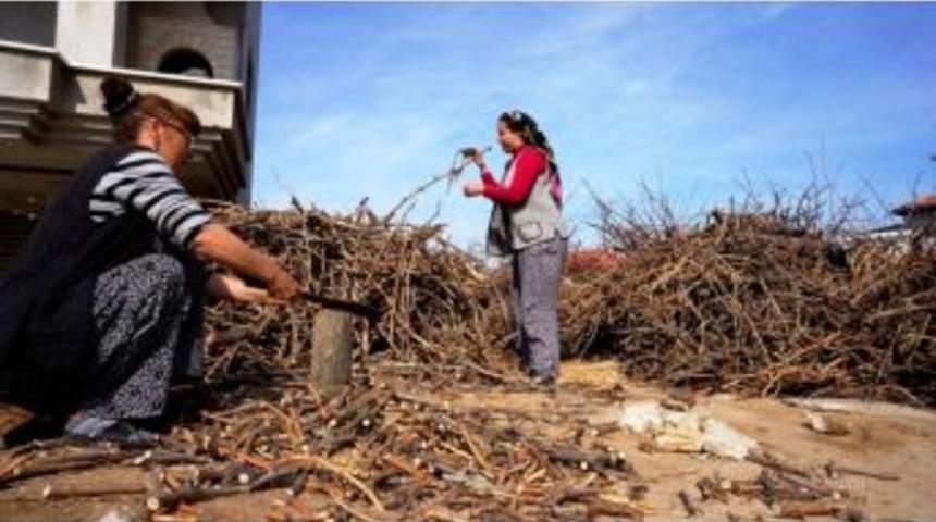 Bağ Çubukları Yakacak Olarak Değerlendiriliyor