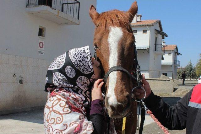 Elazığ’da Lisanslı Kadın Seyisler Yetişiyor