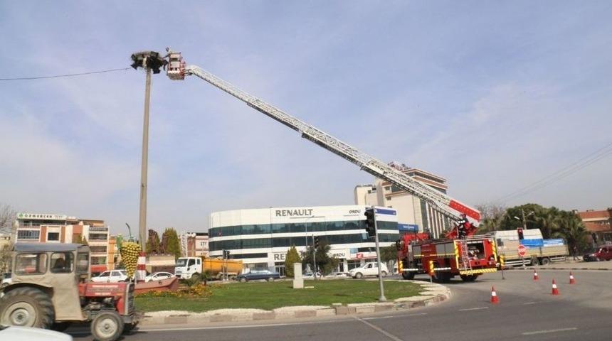 Baharın M&uuml;jdecileri İ&ccedil;in Tatlı Telaş