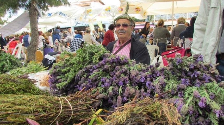 Ala&ccedil;atı Ot Festivali İ&ccedil;in Geri Sayım