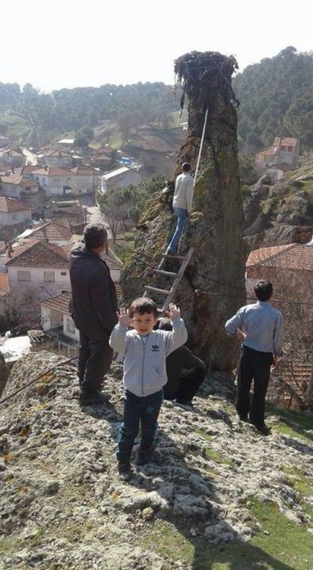 İvrindi’de Asırlık Leylek Yuvası İmece İle Temizlendi