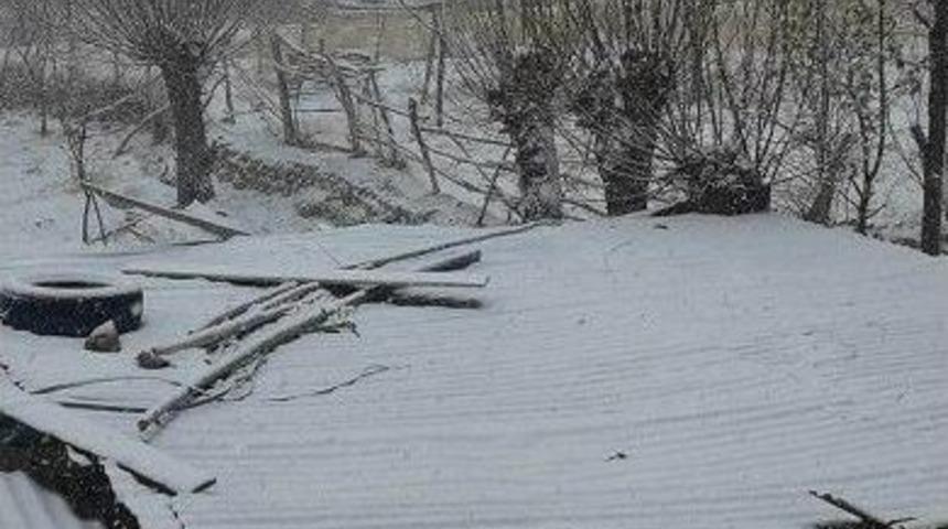 G&uuml;r&uuml;n&rsquo;de Kar Yağışı Etkili Oldu