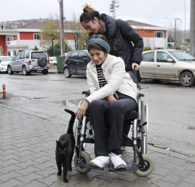 Tedavisi Için Yardım Kampanyası Başlatınca Bin 103 Lira Para Cezası Kesildi