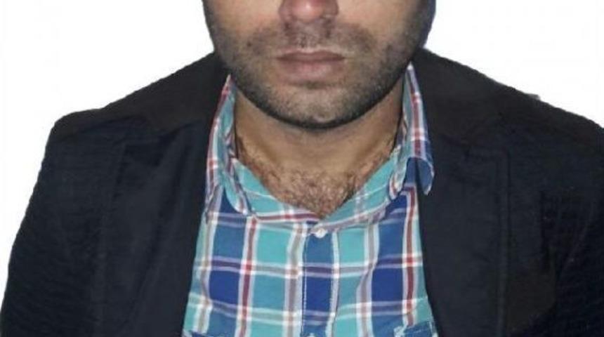 Hırsızı "van Kedisi &Ouml;zelliği" Ele Verdi