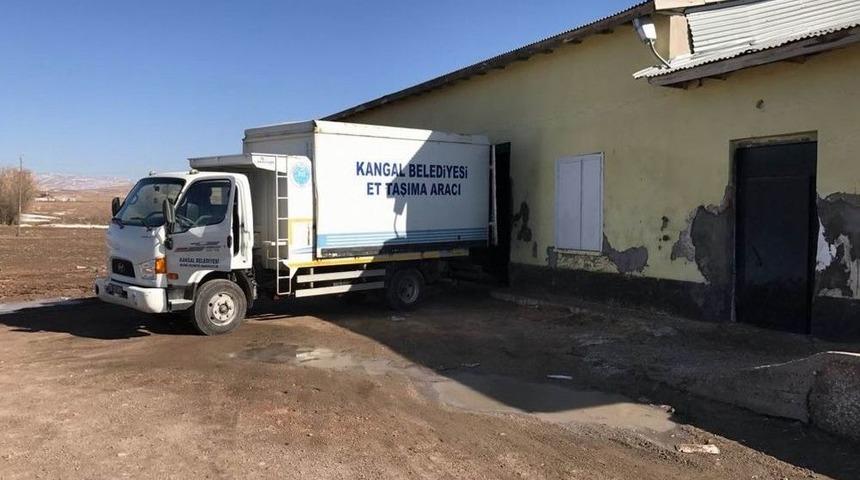Sivas&rsquo;ta 1.5 Ton Etl &Ccedil;alındı