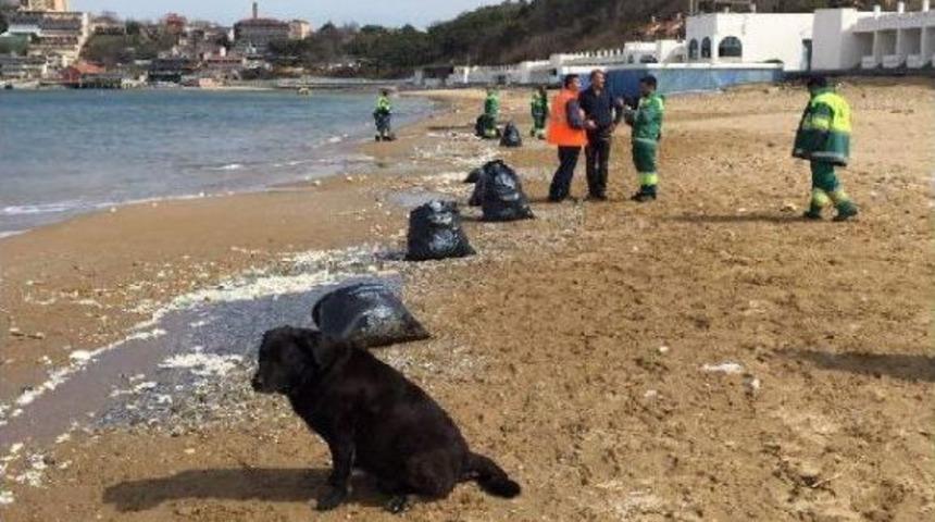Kilyos Plajı'na D&ouml;k&uuml;len Molozlara Sarıyer Belediyesi'nden A&ccedil;ıklama