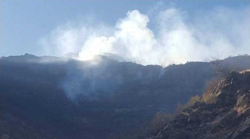 Beyt&uuml;şşebap&rsquo;ta Orman Yangını