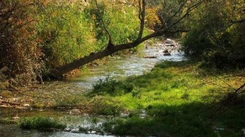 Ardıl &Ccedil;ayı&rsquo;nda Kartpostallık G&ouml;r&uuml;nt&uuml;ler