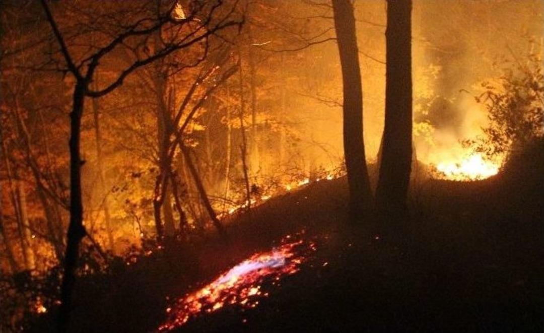 Ordu&rsquo;da Orman Yangını