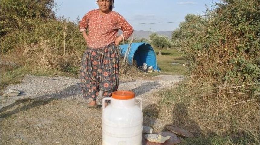 Bu Sütü Sütçüden Başkası Almıyor