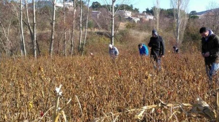 &Ccedil;anakkale Meteorunda Yaşam Izi