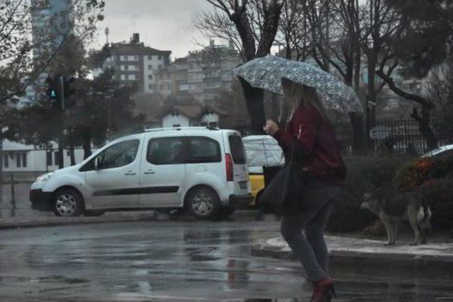 Konya'daki Yağmur Çiftçiye Umut Oldu