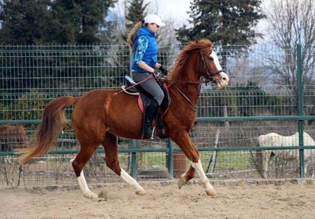 Kemer e Tatile Gelen Yulia At Binerek Eğleniyor 2