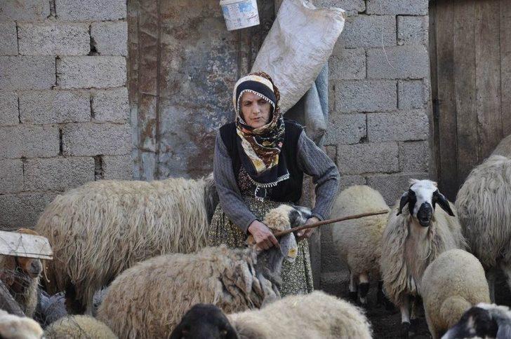 Böyle Fedakarlık Görülmedi G5