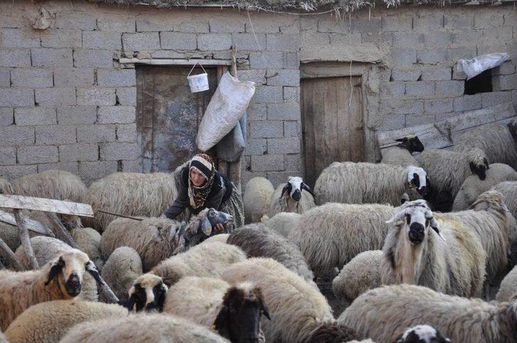 Böyle Fedakarlık Görülmedi G2