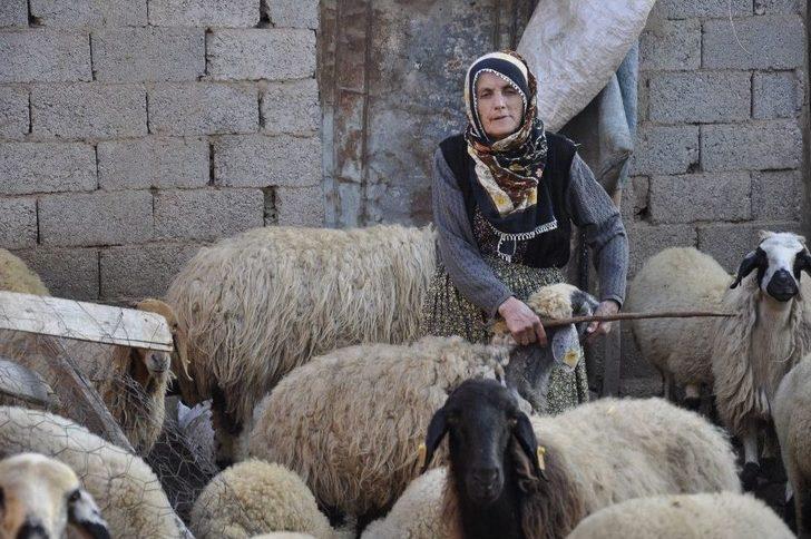 Böyle Fedakarlık Görülmedi G3
