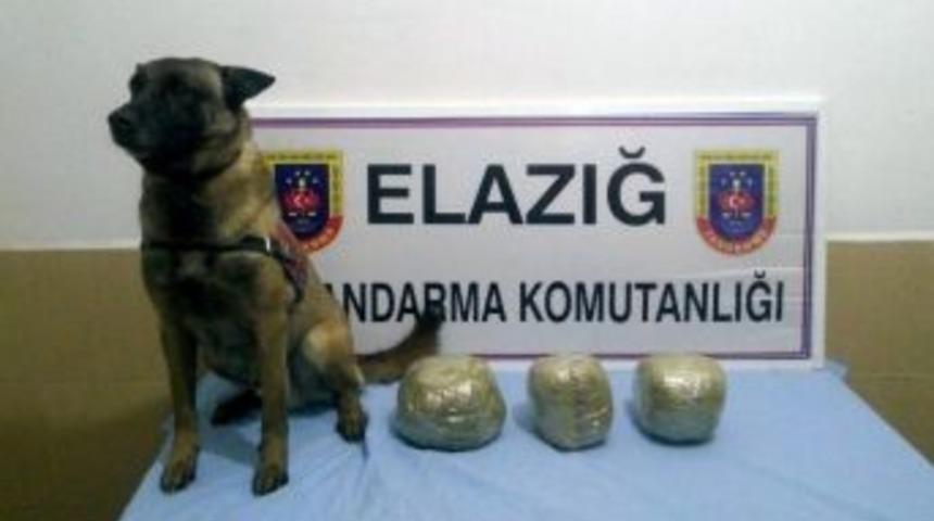 Elazığ&rsquo;da Jandarma Toz Esrar Ele Ge&ccedil;irdi