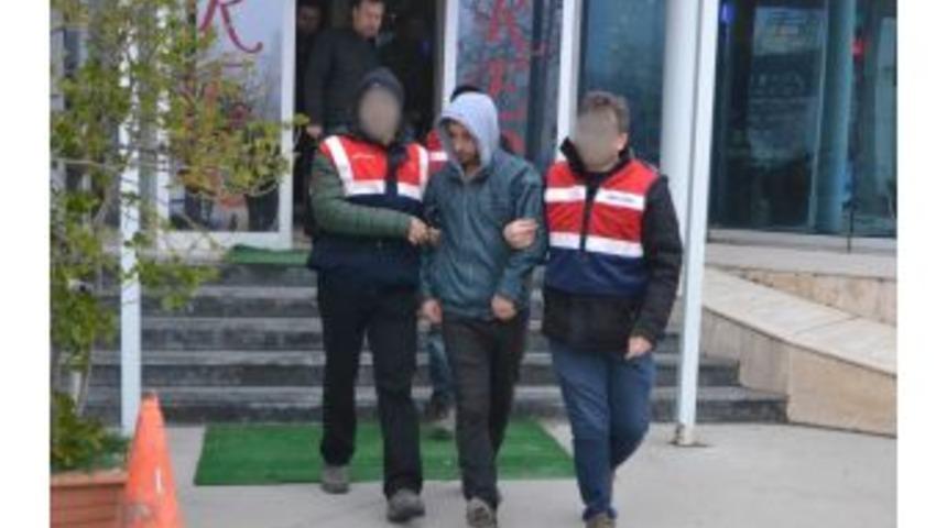 Silivri&rsquo;de Evlere Bonzai Servisi