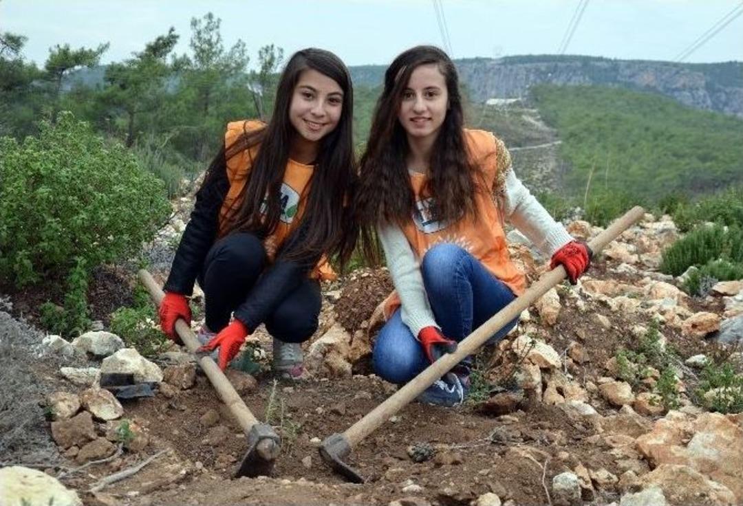 Erdemli&rsquo;de 2 Bin Fidan Dikildi