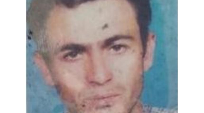 Mantar Toplamaya Gitti, Cesedi Bulundu